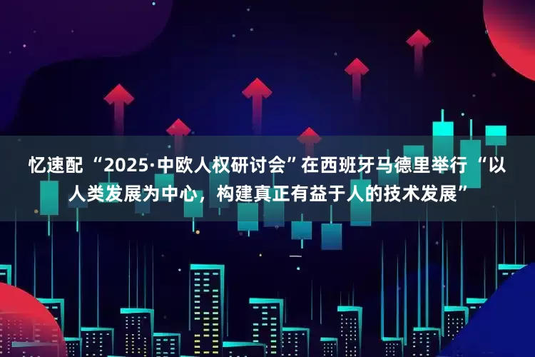 忆速配 “2025·中欧人权研讨会”在西班牙马德里举行 “以人类发展为中心，构建真正有益于人的技术发展”