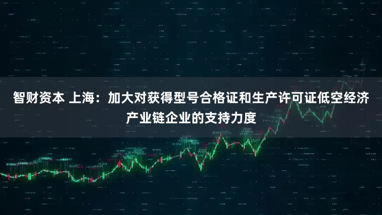 智财资本 上海:加大对获得型号合格证和生产许可证低空经济产业链企业的支持力度