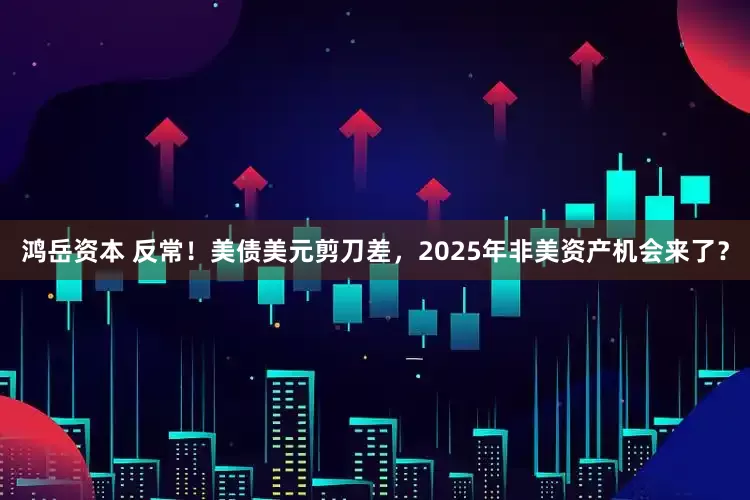 鸿岳资本 反常！美债美元剪刀差，2025年非美资产机会来了？
