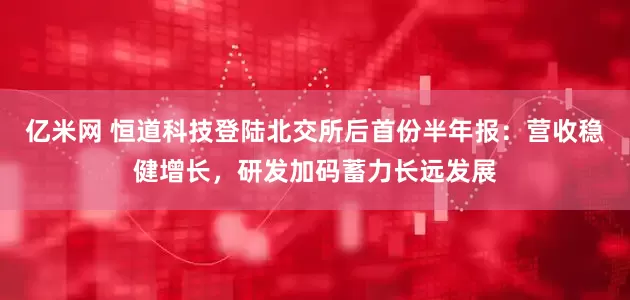 亿米网 恒道科技登陆北交所后首份半年报：营收稳健增长，研发加码蓄力长远发展